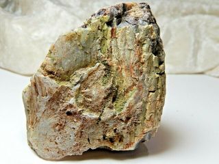 Petrified Wood with Agate & Growth Rings Specimen 8 Oz.  Found in Oregon 3