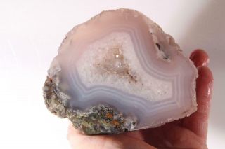 Crooked River Agate Fossil Limb Wood Cast 1 Lb 10 Oz Faced Rough W/ Druzy