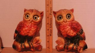 PAIR LEFTON OWL WALL PLAQUES - 4778 2