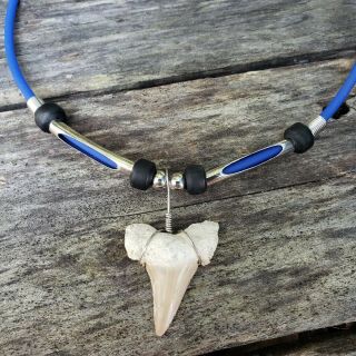 Split Tube Shark Tooth Necklace With Black Beads -