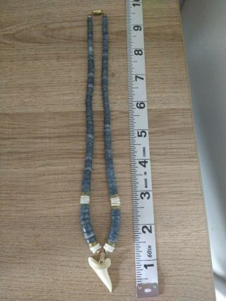 Shark Tooth Necklace With Blue And White Stones
