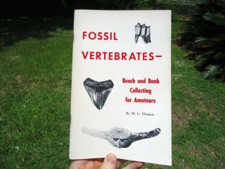 Fossil Vertebrates - Beach And Bank Collecting For Amateurs By M.  C.  Thomas Book