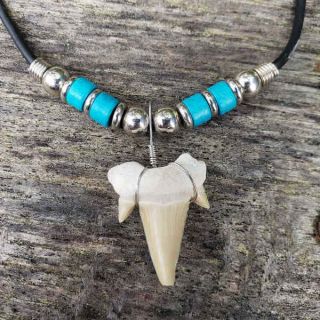 Shark Tooth Necklace With 4 Ceramic Turquoise Beads -