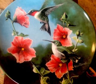 Hummingbird Kevin Daniel 7th Enc Britannica Birds Of Your Garden Collector Plate