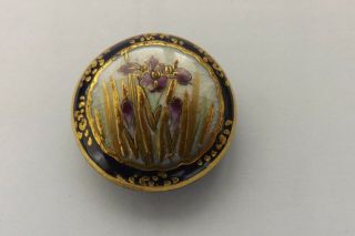 Vintage Signed Satsuma China Button A Study Of Japanese Flowers 2.  5cms (2982)