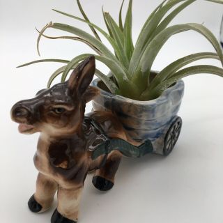 Vintage Donkey And Cart Planter Ceramic Made In Japan Mcm Air Plant Succulents