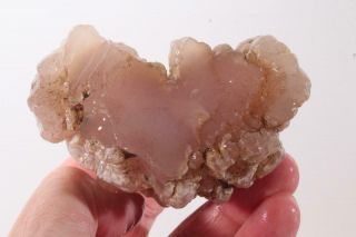 Texas Springs Fossil Wood Pink Limb Cast Lapidary 10.  4 Oz Rough