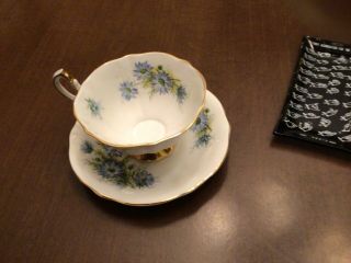 Queen Anne Blue Bachelor buttons happy birthday bone China Cup & Saucer 3