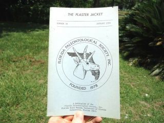 1981 Plaster Jacket Florida State Museum Publication Fossils Paleontology Book @