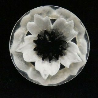 Antique Vtg Button Black & White Shabby Chic Carved Lucite Flower J5