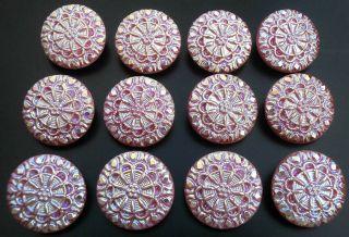 12 Czech Pink Glass Lacy Buttons B364 - 18 Mm Or 3/4 " - Iridescent