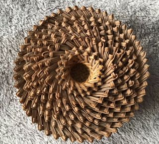 Tarahumara Indian Set Of 8 Small Pine Needle Nesting Baskets Natural Mexico