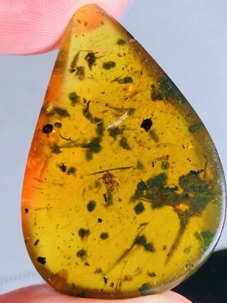 4.  4g Cicada&bug Feces Burmite Myanmar Burmese Amber Insect Fossil Dinosaur Age