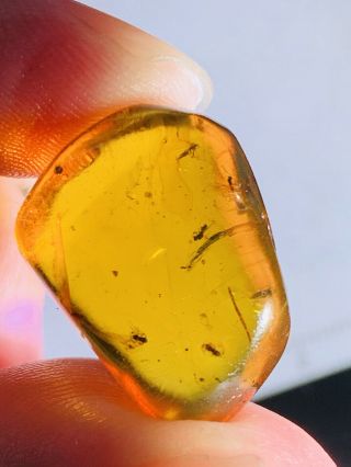 2.  45g Some Fly&wasp Bee Burmite Myanmar Burmese Amber Insect Fossil Dinosaur Age