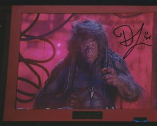 Photo 10 " X8 " Robert Nairne In Person Signed Autograph - Red Dwarf - K246