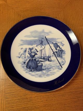 Ter Steege Bv Delft Blauw Hand Decorated Plate Holland 1984
