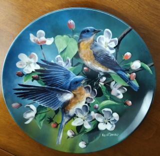 Knowles Encyc.  Britannica Birds Of Your Garden 5 " The Bluebird " Kevin Daniel
