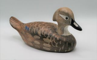 Hand Painted Wood Duck Hen Signed By Herb Daisy Jr.  Chincoteague,  Va