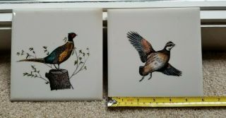 Set Of 2 Vintage Ceramic Tile Hand Painted Gamebirds 6 " X 6 " Pheasant & Grouse