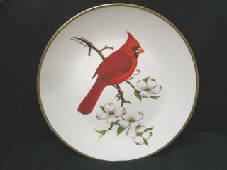 Vtg Avon 1974,  Cardinal,  North American Songbird Plate,  10 1/2” Porcelain Plate