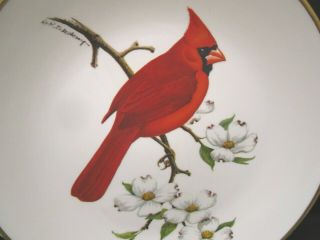 VTG Avon 1974,  Cardinal,  North American Songbird Plate,  10 1/2” Porcelain Plate 2