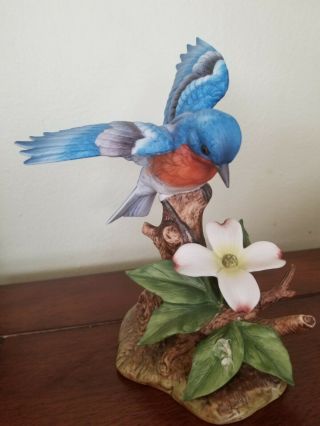 Andrea By Sadek Porcelain Bird Figurine,  " Bluebird "