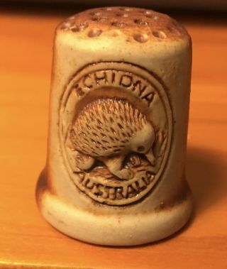 Thimble Echidna Anteater Australian Swagman Pottery Great Detail