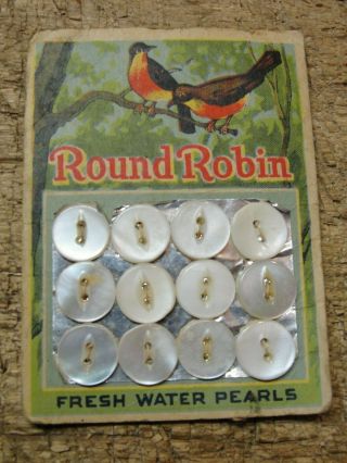 Vintage Full Card Of 12 Buttons Round Robin Fresh Water Pearls