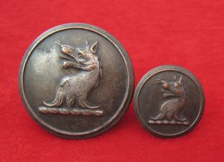 Large & Small Silvered Livery Buttons: Wolf’s Head – Unusual Backmarks (lb172)