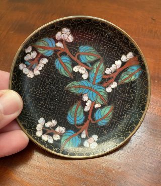 Vintage Chinese Black Floral Teal Cloisonne 3.  75 " Round Pin Dish Trinket Dish