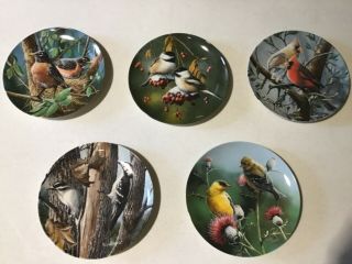 Knowles Encyclopedia Britannica Birds Of Your Garden Collector Plates