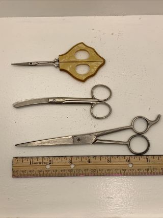 Three Pair Vintage Antique Scissors Griffon Italy Fancy Scissors
