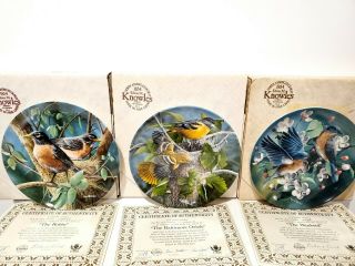Set Of 3 Collector Plates Kevin Daniels Britannica Birds Of Your Garden Mib