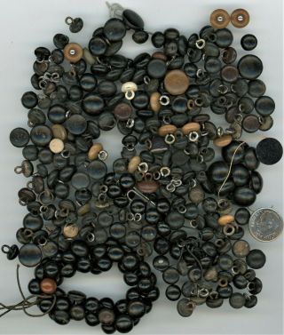 290 Antique Shoe/boot Buttons - Teddy Bear Eyes - Leather & Vegetable Ivory