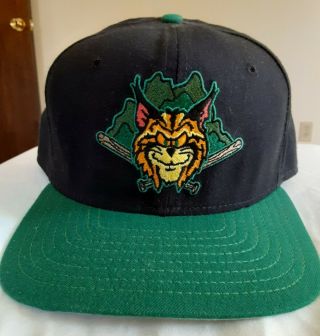 Lynchburg Hillcats Vintage Hat Cap Minor League Rare Snapback Era