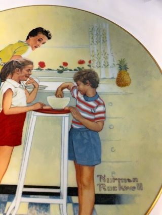 1979 Norman Rockwell Plate American Family Series Mothers Little Helpers 2