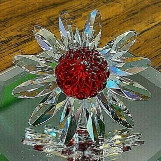 Swarovski Crystal Scs 2000 Renewal Red Marguerite Daisy Flower Figurine,  Logo