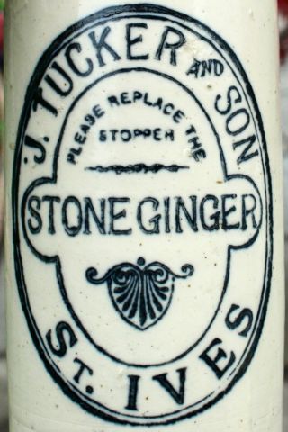 Vintage C1900s J.  Tucker & Son St Ives Cornwall Cornish Stone Ginger Beer Bottle