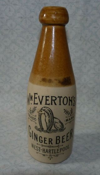 Very Rare Pictorial Ginger Beer Bottle Wm Everton 