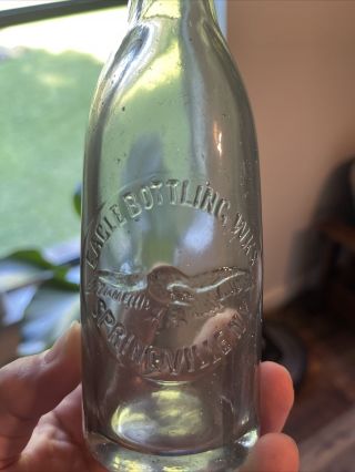Antique Bottle Pictorial Eagle Bottling Wks Springville NY 2