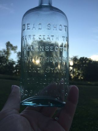 Vintage Scranton,  Pa Dr.  Traeger & Son Dead Shot Bottle