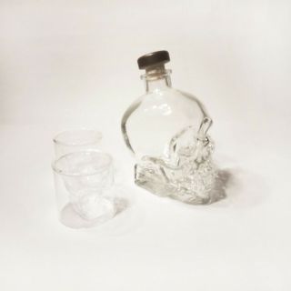 Empty Crystal Head Vodka Bottle 750ml & (2) Doomed Skull Shot Glass