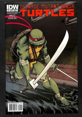 Teenage Mutant Ninja Turtles (2011) 1 Nm 9.  4 Duncan Cover C Variant Leonardo