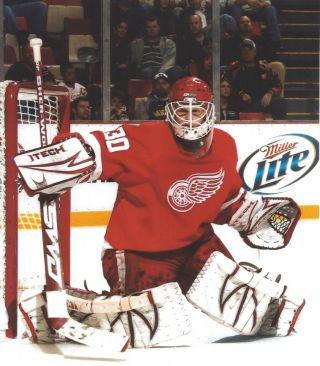 Chris Osgood 8x10 Photo Hockey Detroit Red Wings Picture Nhl
